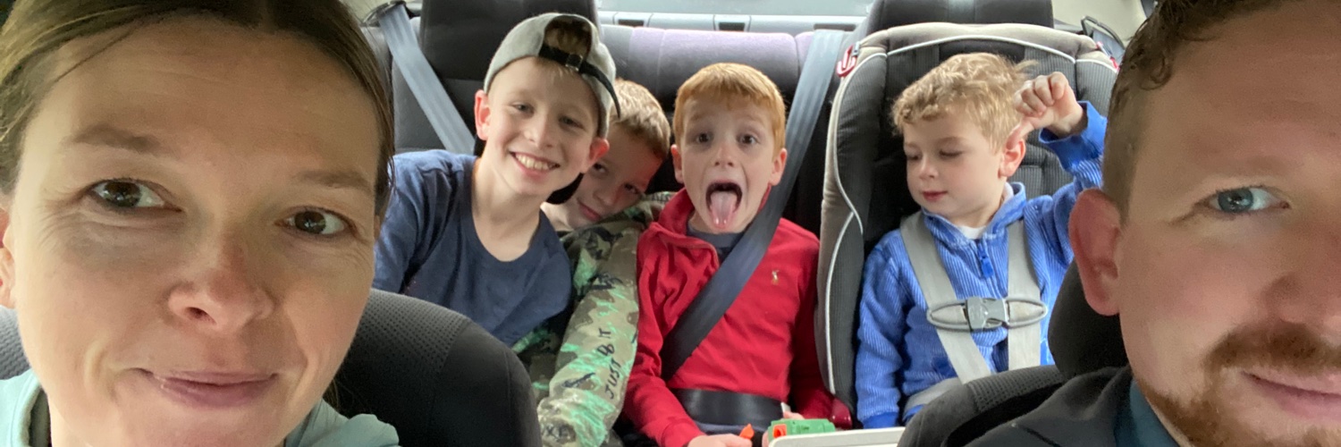 mollycover's profile banner image