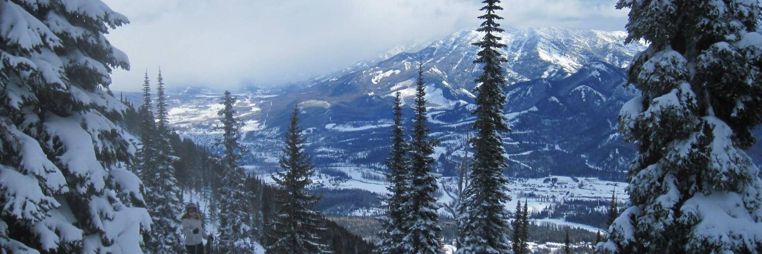 Joe Mastroianni banner