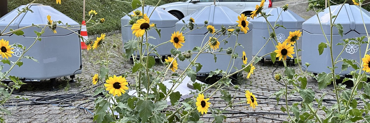 Alex Pachikov 🌻 banner