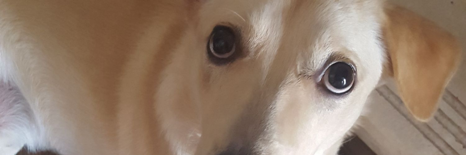 Ben_LTD74's profile banner image