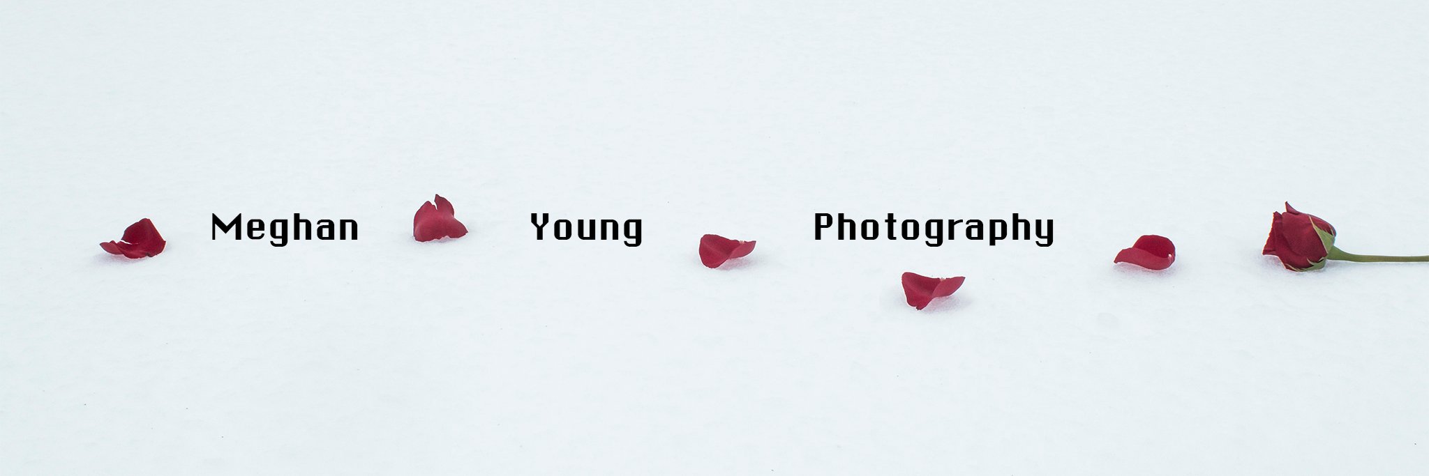 MeghanY_Photo's profile banner image