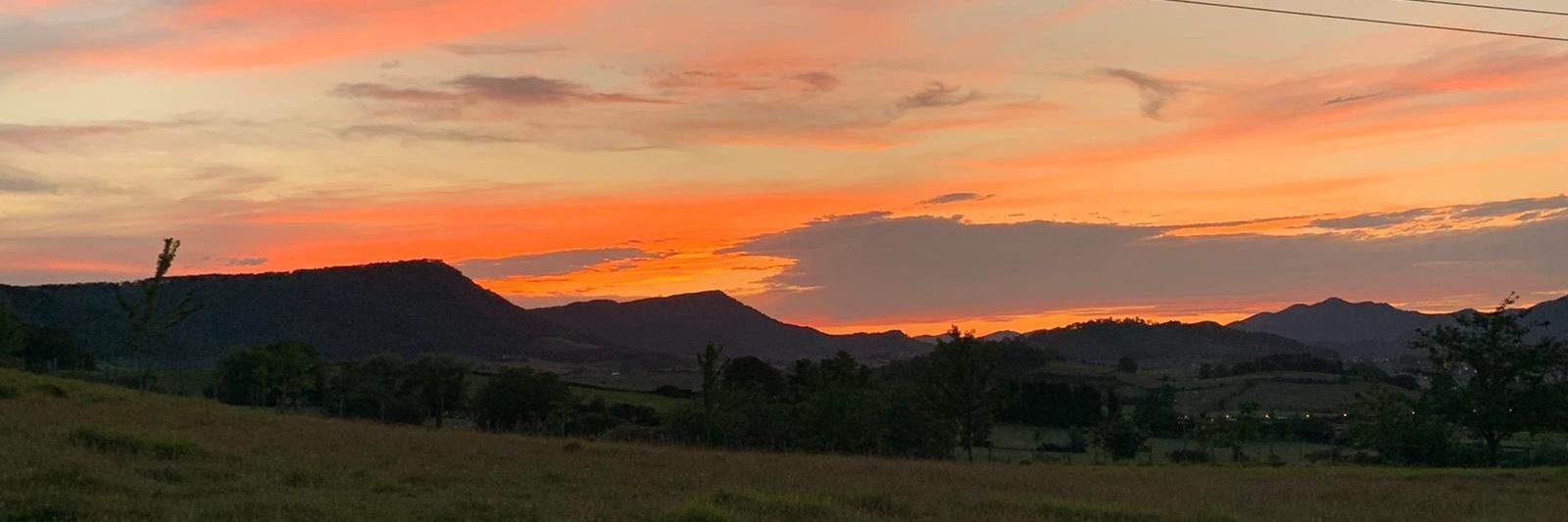 Aitziber Elejalde banner