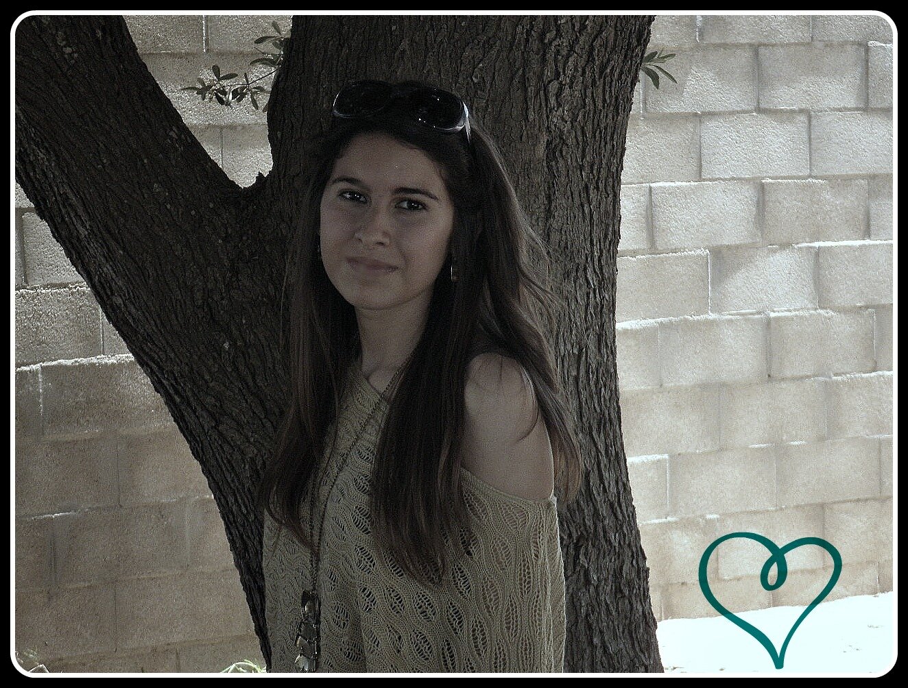 Alba.12 banner