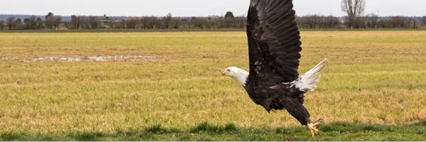 OWLRehab Profile Banner