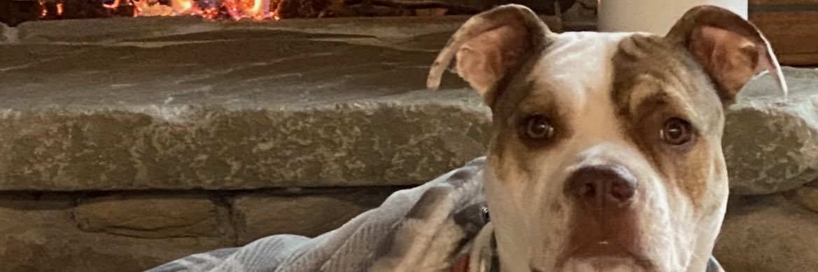 BKazar11's profile banner image