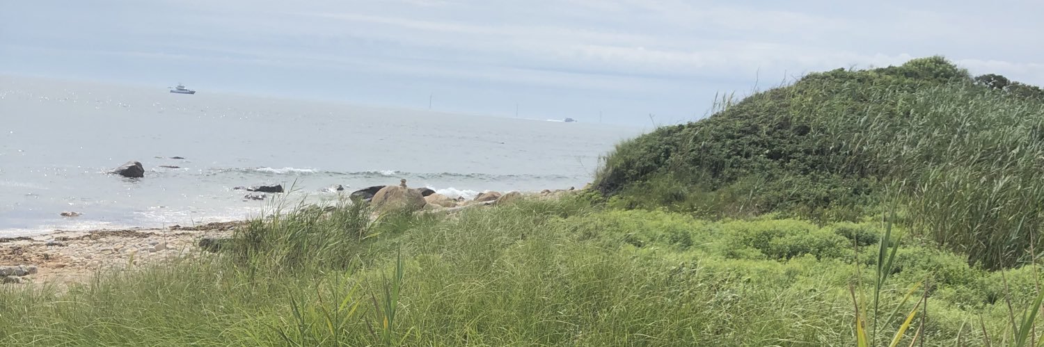 Heather Prendergast banner