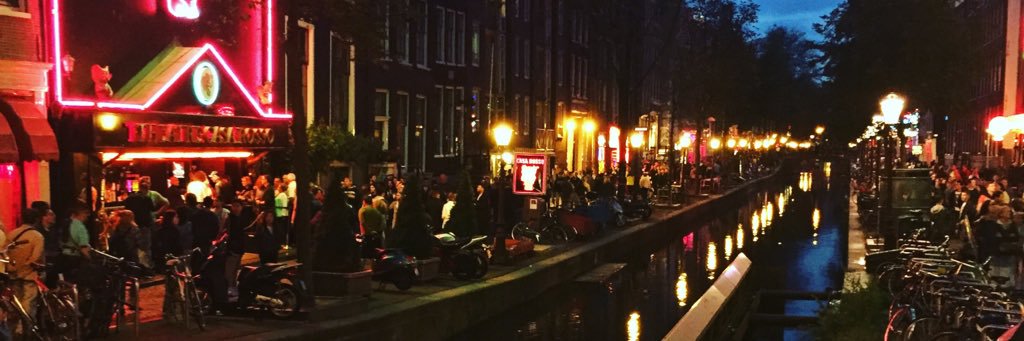 emy_neill's profile banner image