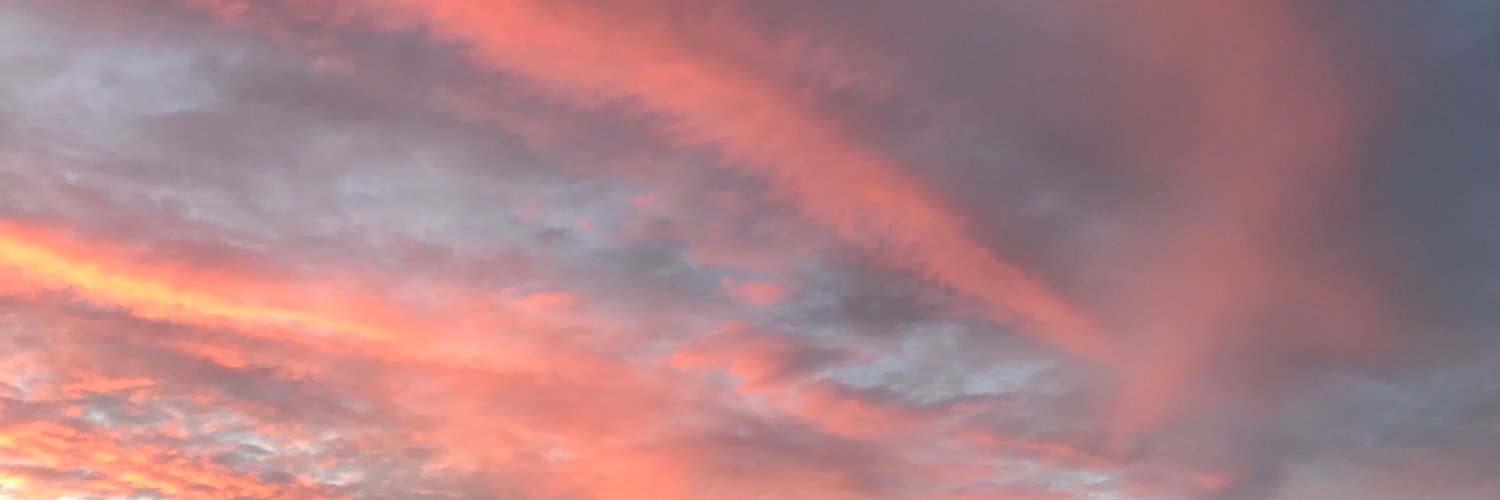 fdariveros's profile banner image