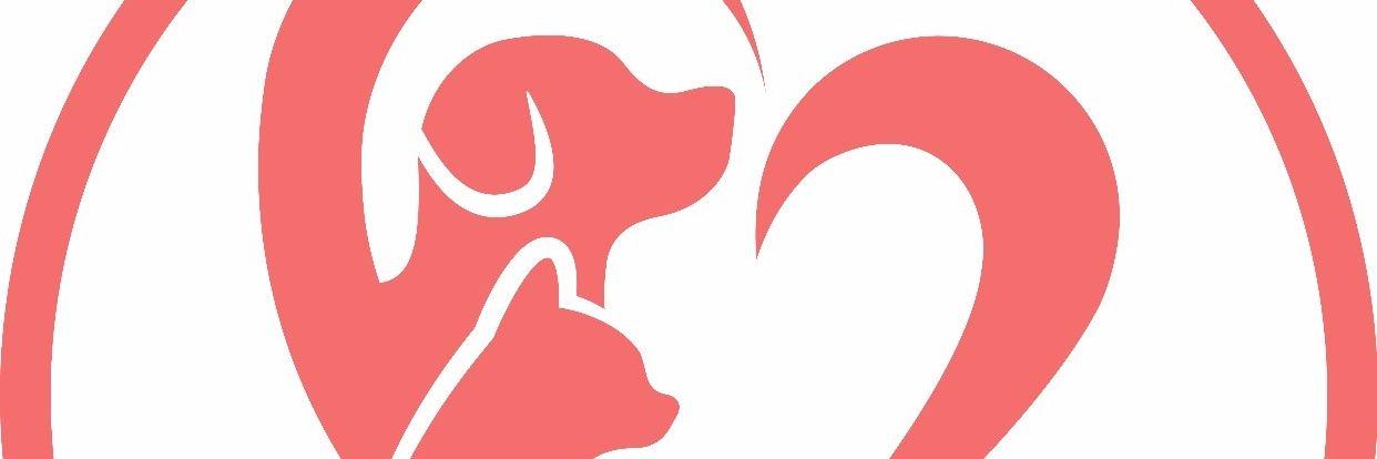 mimi_bucio's profile banner image