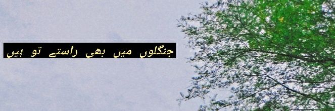 alllleeeem's profile banner image