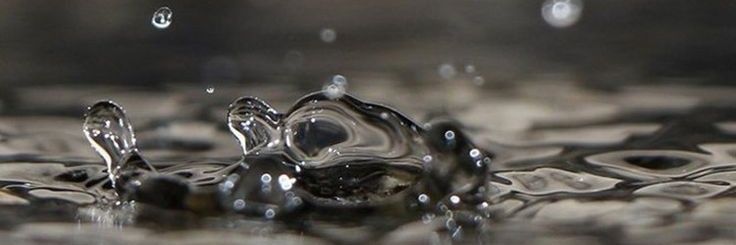 rossy1201's profile banner image