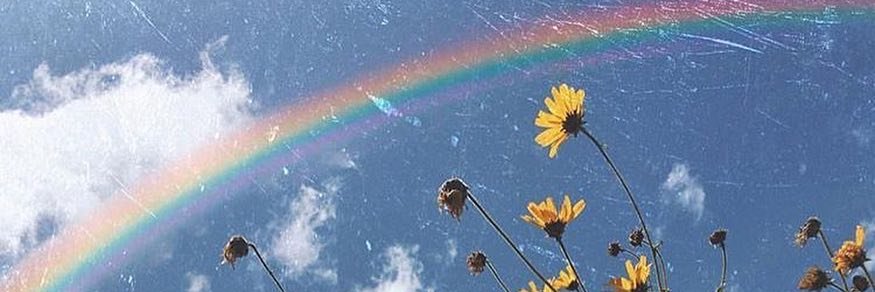Hellooshit's profile banner image