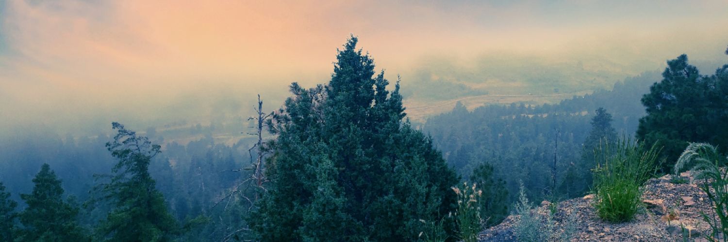 AdamPickerell's profile banner image