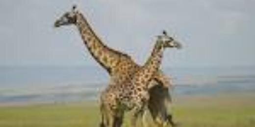 maina_mburu's profile banner image
