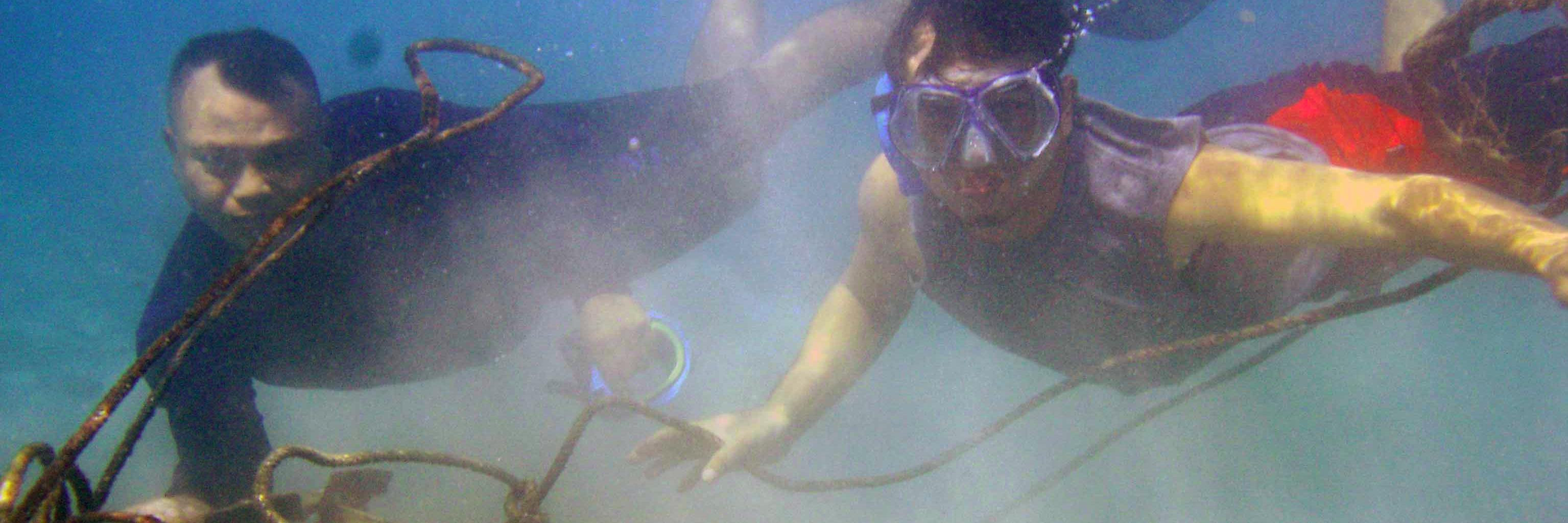 PadvinderSalman's profile banner image