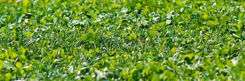 ロコっち - たまプラーザ banner