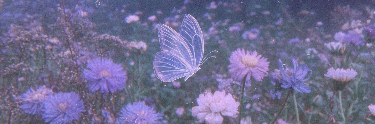 BoHimeChella's profile banner image