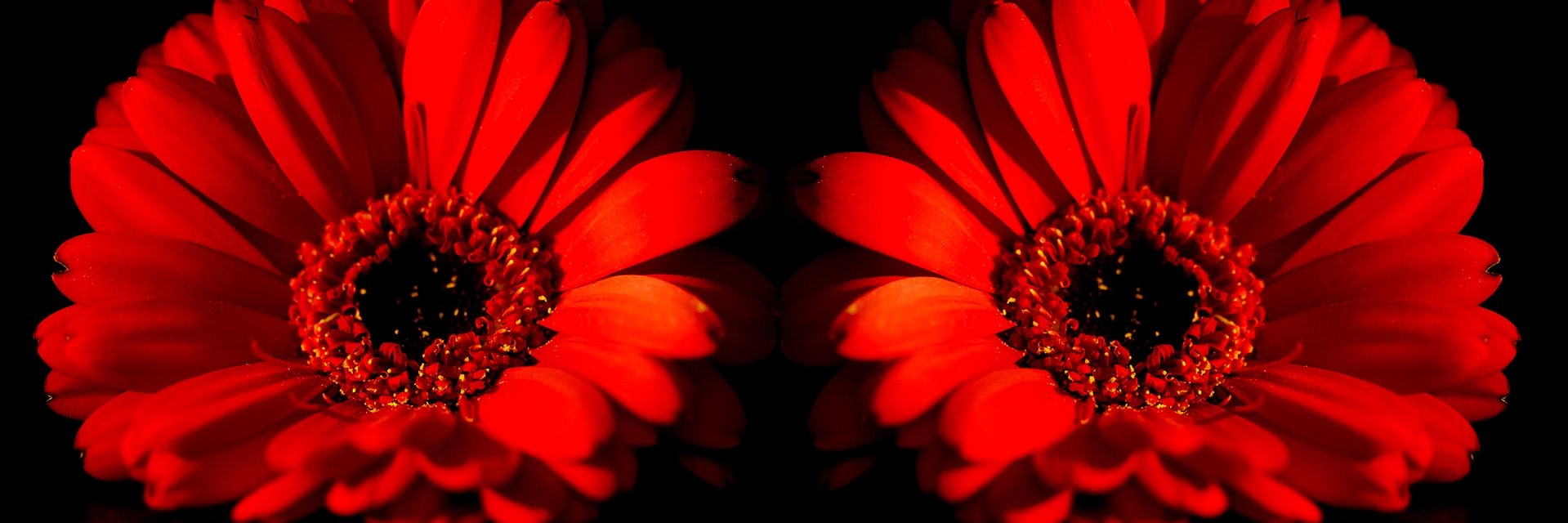 melita_cd's profile banner image