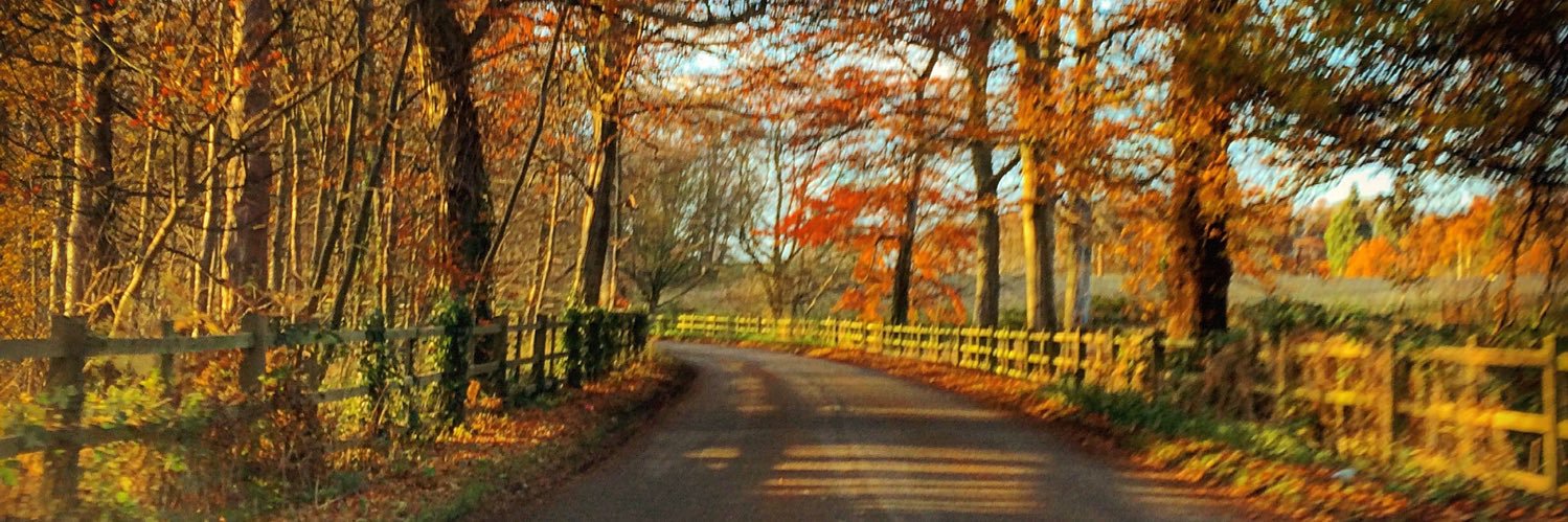 LydiaRWoodward's profile banner image