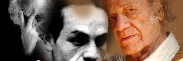 Cactuscultural's profile banner image
