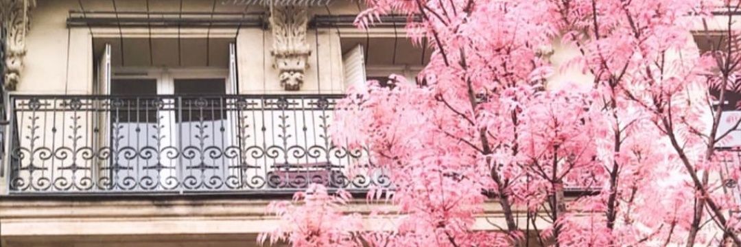 Nera_ara's profile banner image