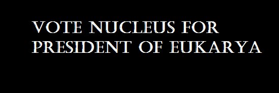 Nucleuspres2016's profile banner image