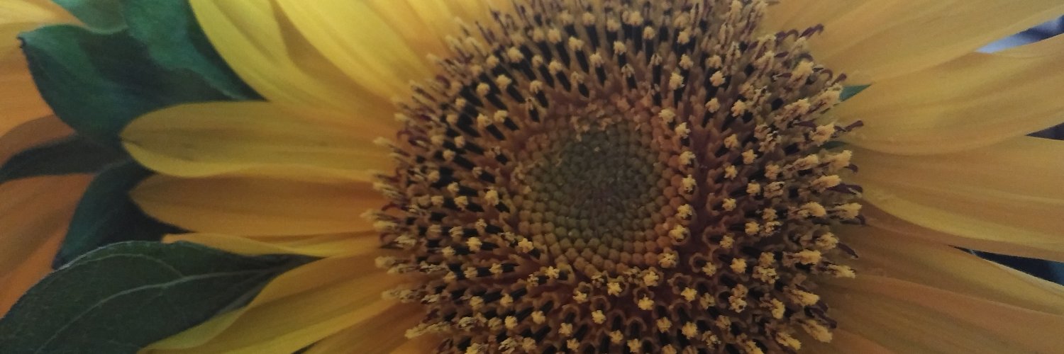 Arletty White Morales banner