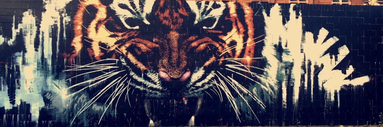 Andi At Strath banner