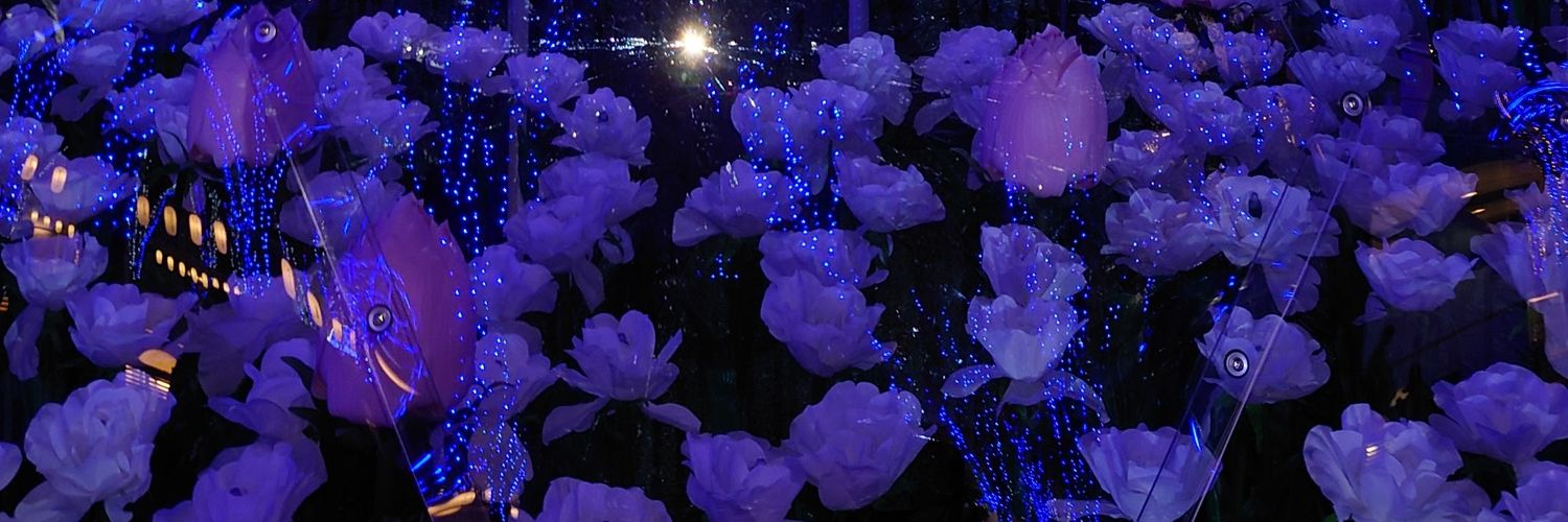 TORARIKIchan's profile banner image