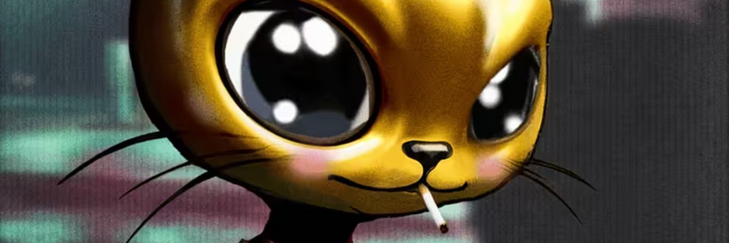 noonbzh's profile banner image