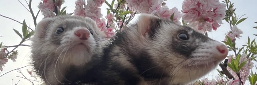 Neily_03's profile banner image