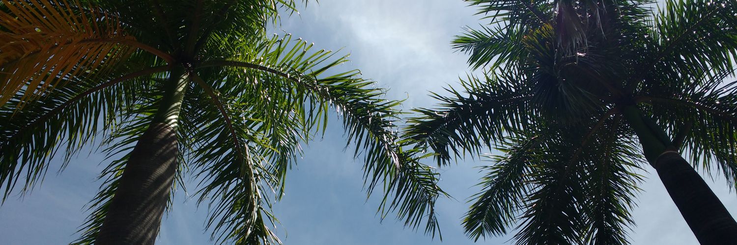 karenmar01's profile banner image