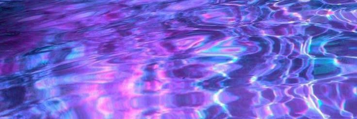 юрда-пчёлка затейница🌌 banner