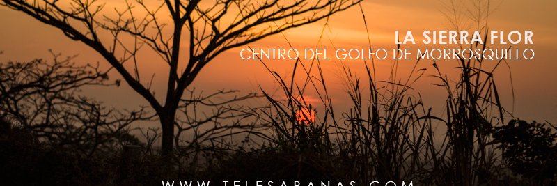 telesabanas1's profile banner image