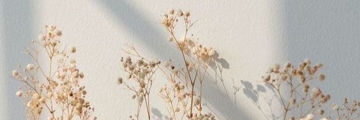 bachsinalicia's profile banner image
