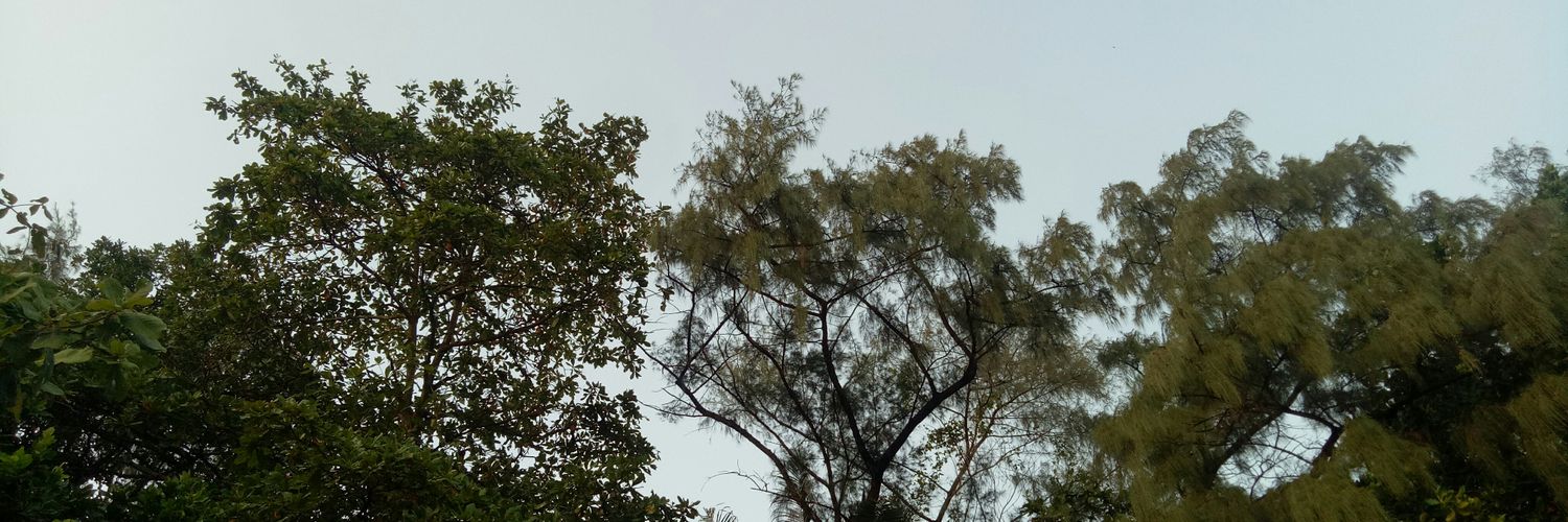 dianaerros's profile banner image
