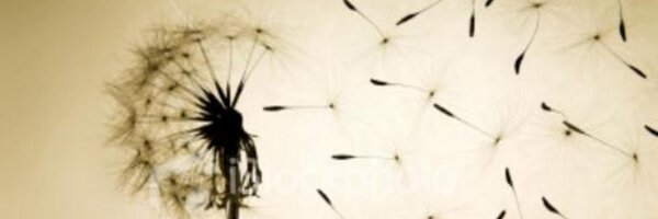KaylaBeaujon Profile Banner