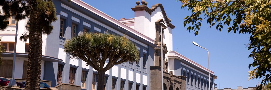 ULL Internacional banner