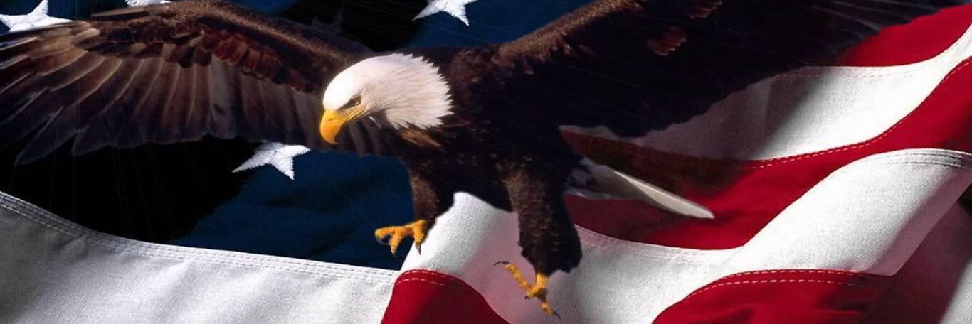 brannon_donlon's profile banner image