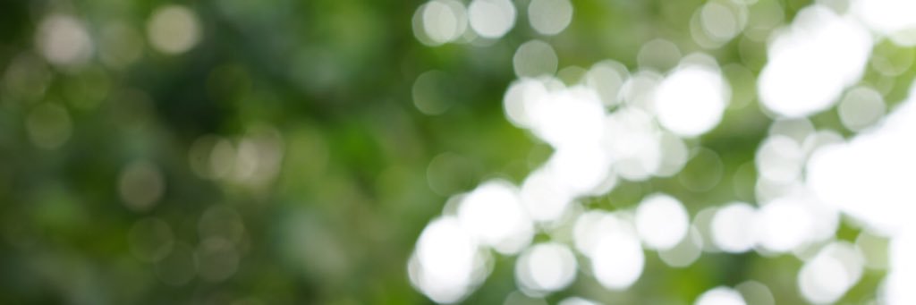 Jaco🎮 banner