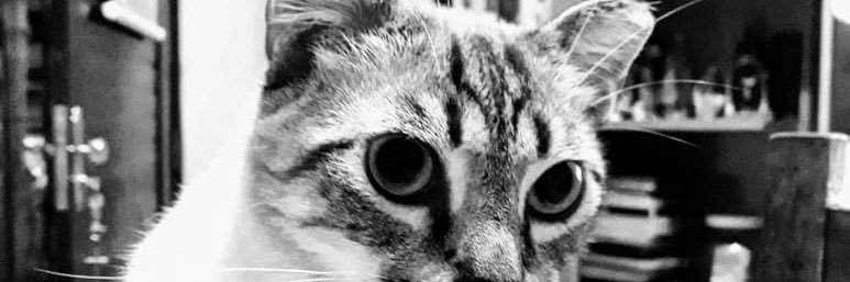 erickbarbosap's profile banner image