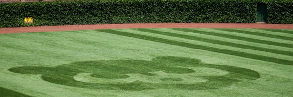cachorros Profile Banner