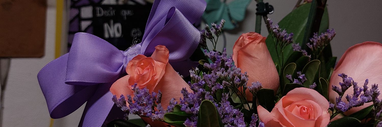 Fernanda banner