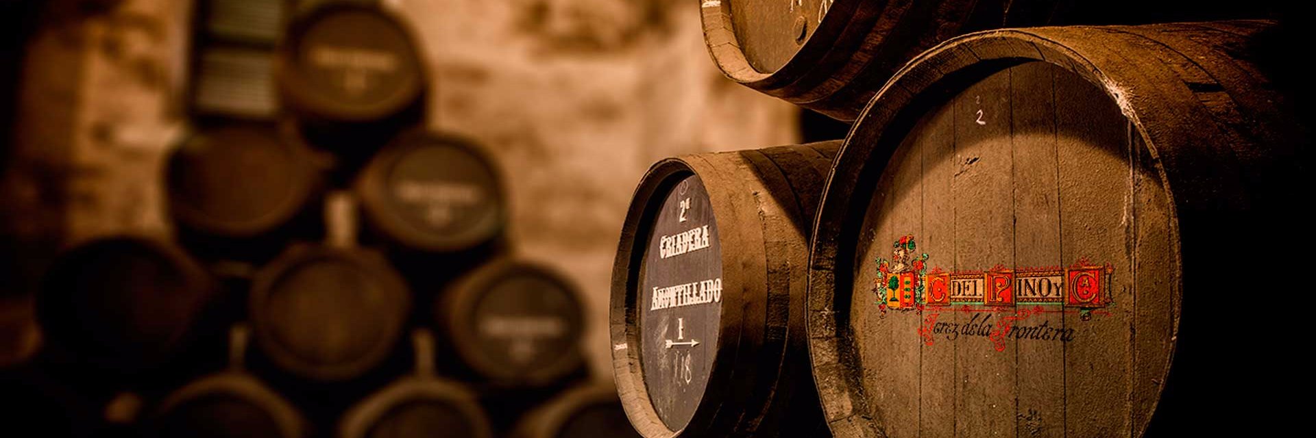 Bod.CayetanodelPino banner