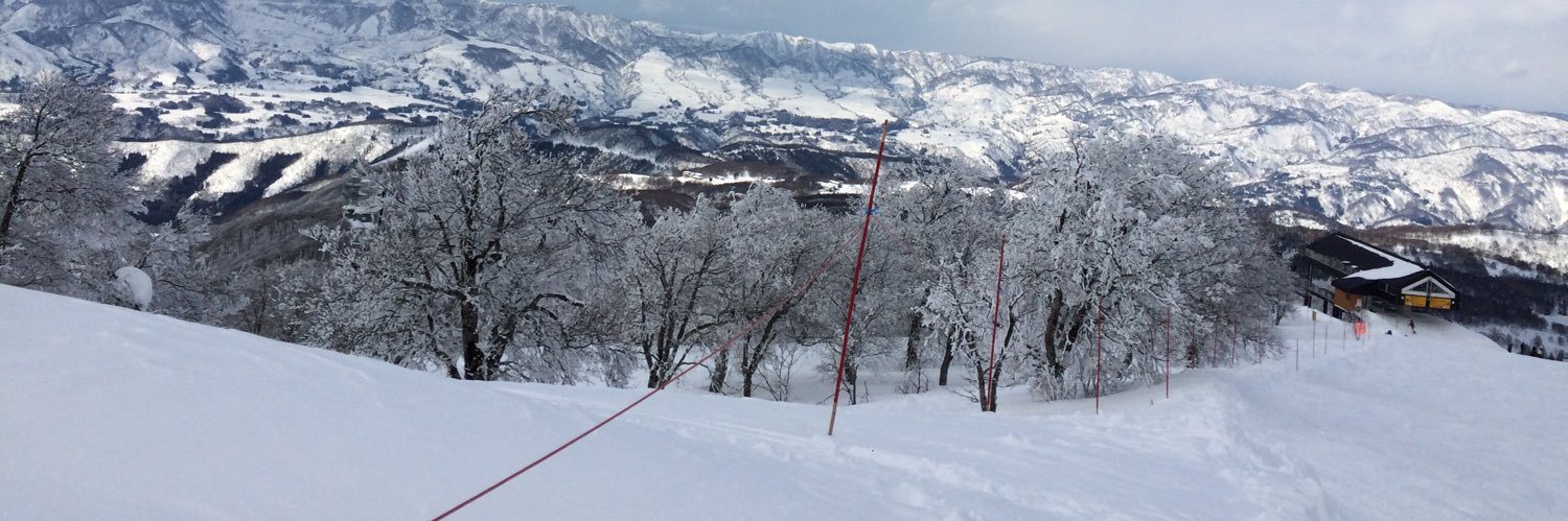 Cuadea's profile banner image