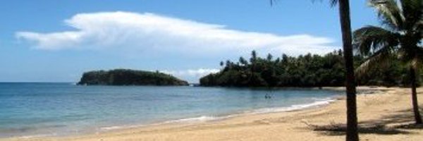 Minittowinit Profile Banner