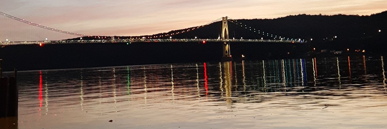 vanessapaolini's profile banner image