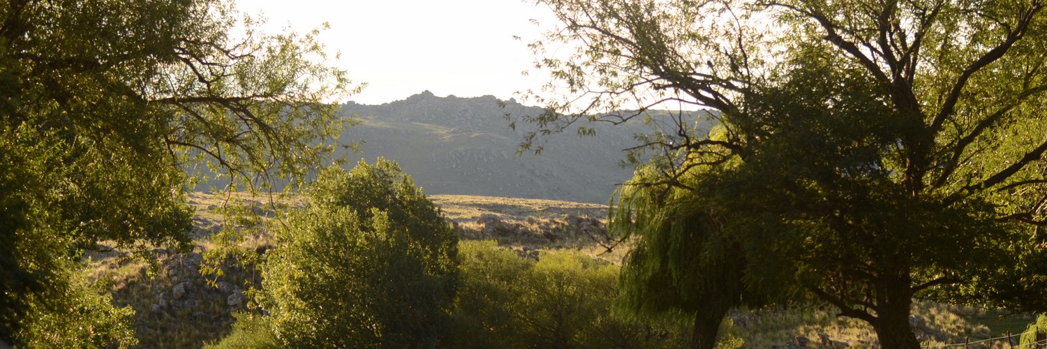 PanchitoSarria's profile banner image