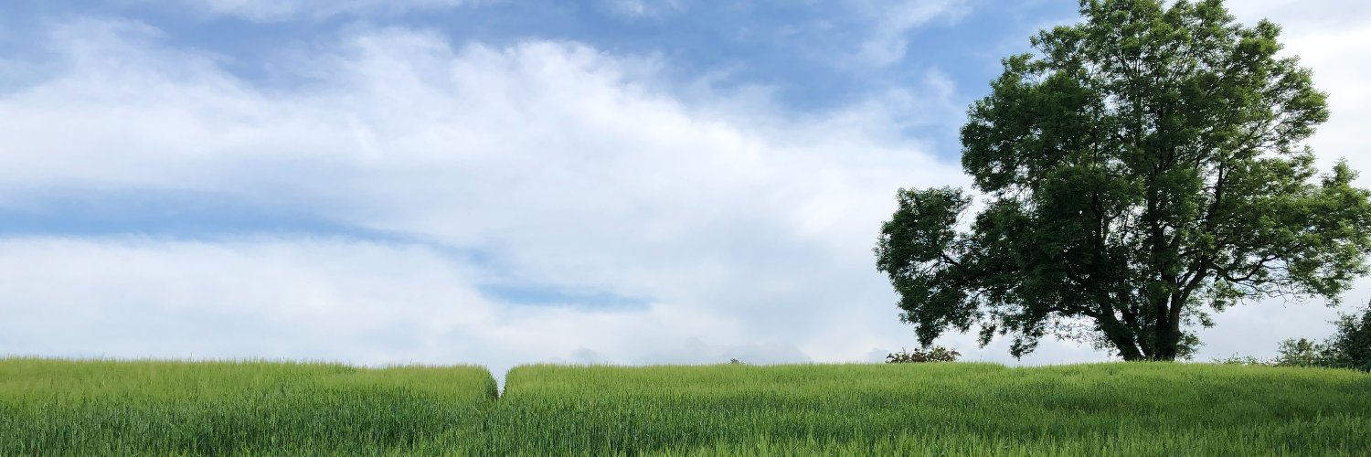 celiabauerfeind's profile banner image