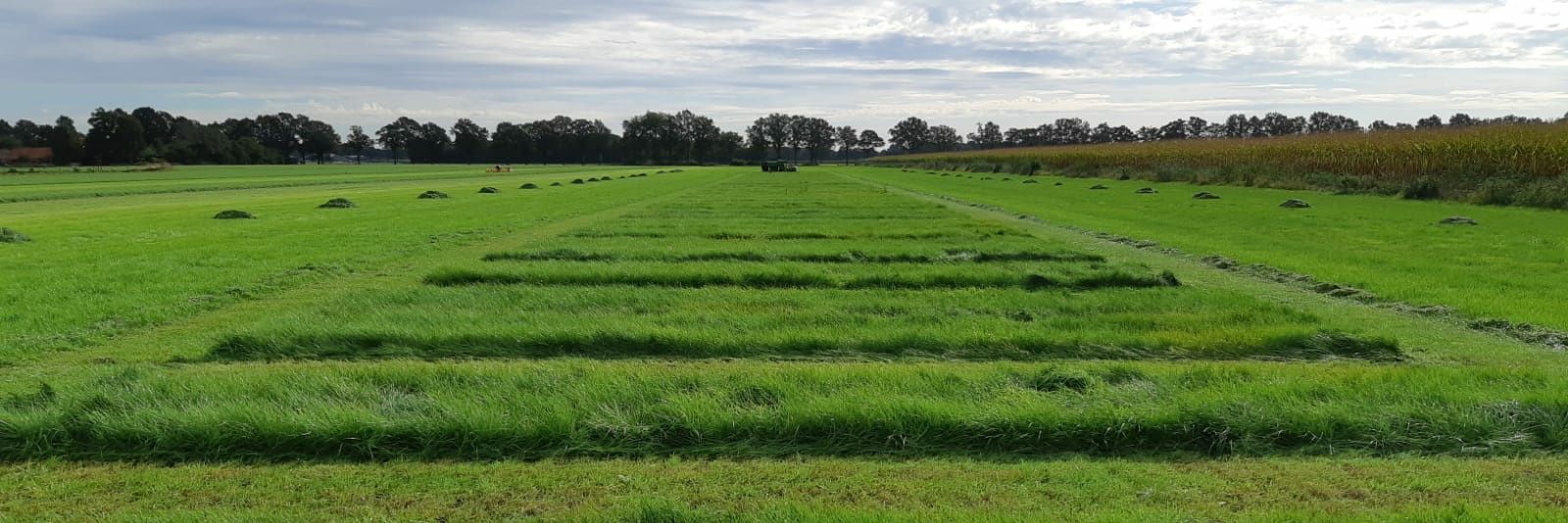 Herman de Boer banner